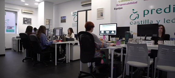 Personal de PREDIF Castilla y León trabajan en el interior de la oficina de la entidad, situada en Paseo Zorilla.