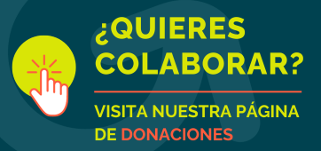 Visita nuestra página de donaciones