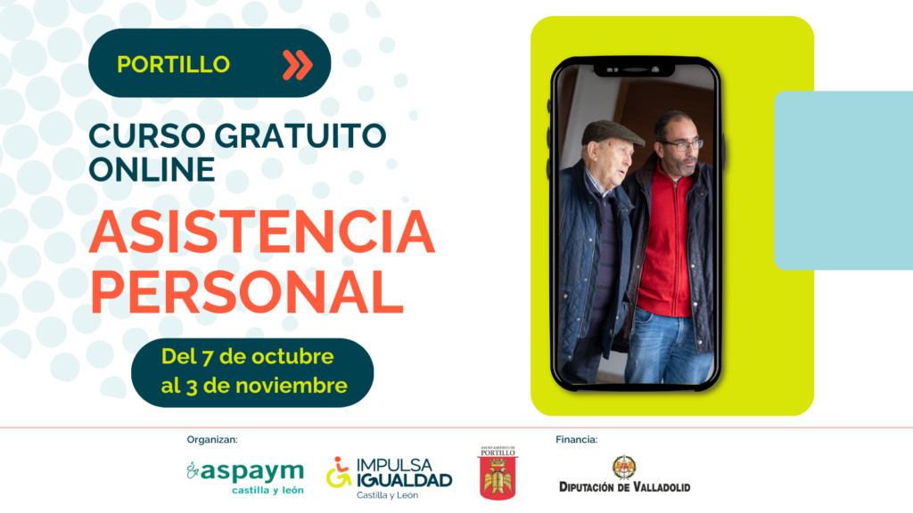 Cartel Curso AP Portillo